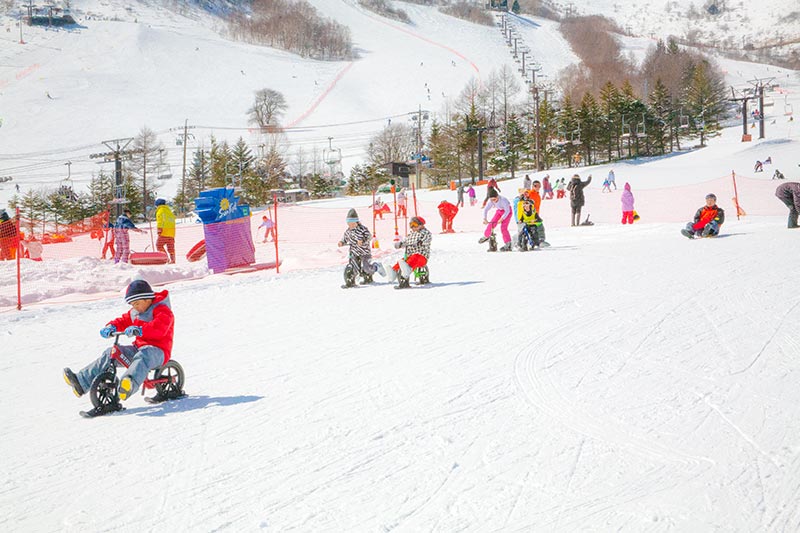 アドベンチャーランド - 車山高原SKYPARKスキー場