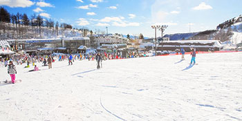 ファミリースキー 都心から約2時間！家族のスキーにおすすめ』水上高原藤原スキー場 (奥